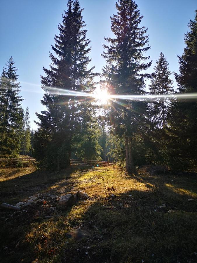 Snowhite Jahorina Villa Dış mekan fotoğraf
