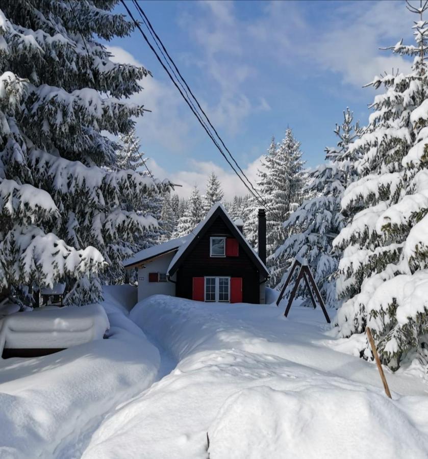 Snowhite Jahorina Villa Dış mekan fotoğraf