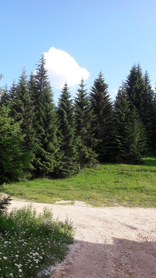 Snowhite Jahorina Villa Dış mekan fotoğraf