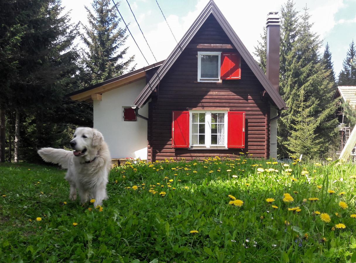Snowhite Jahorina Villa Dış mekan fotoğraf