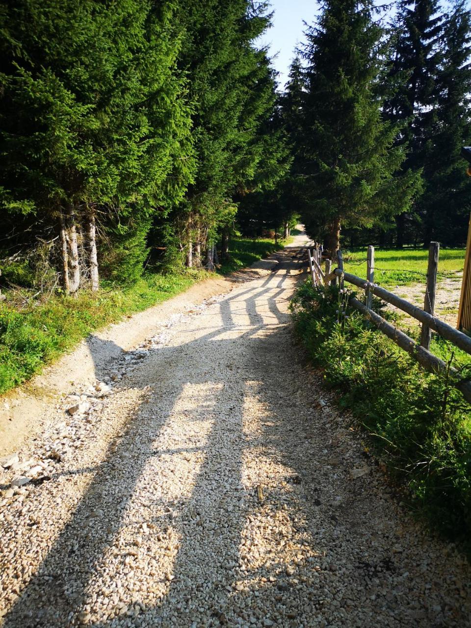 Snowhite Jahorina Villa Dış mekan fotoğraf